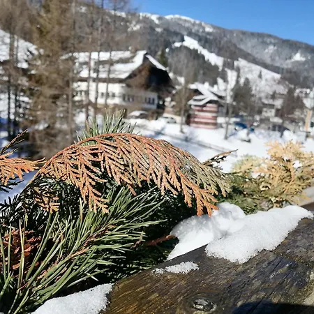 Apartment Moni / Golf & - 9 Bad Kleinkirchheim